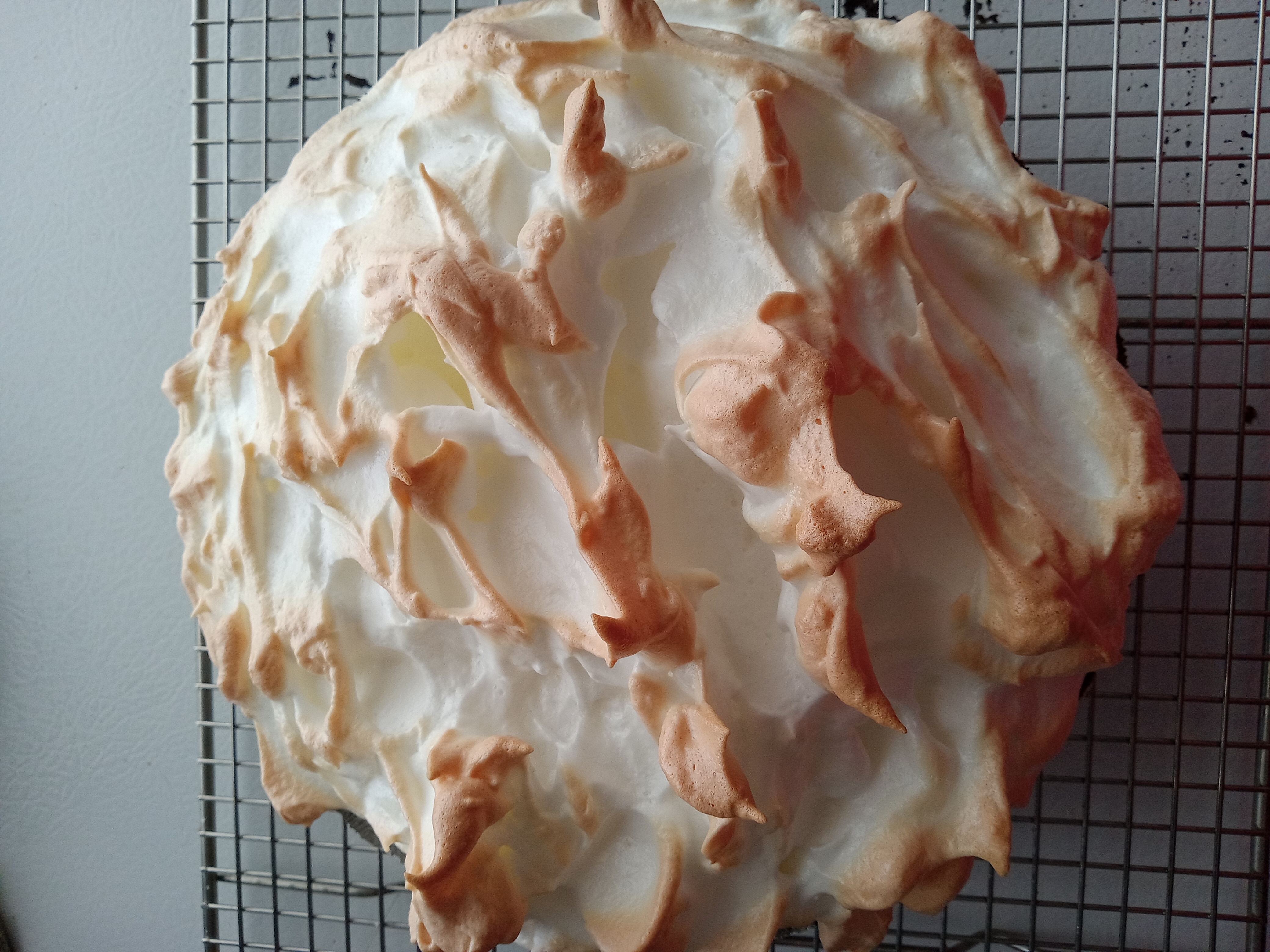 Lemon pie topped with toasted meringue peaks